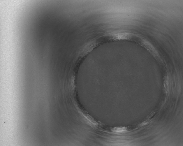 X0000072500410200607290111