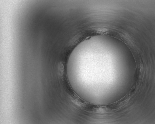 X0000072500412200607290111