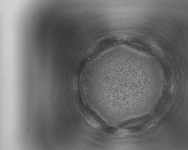 X0000072500413200607290111