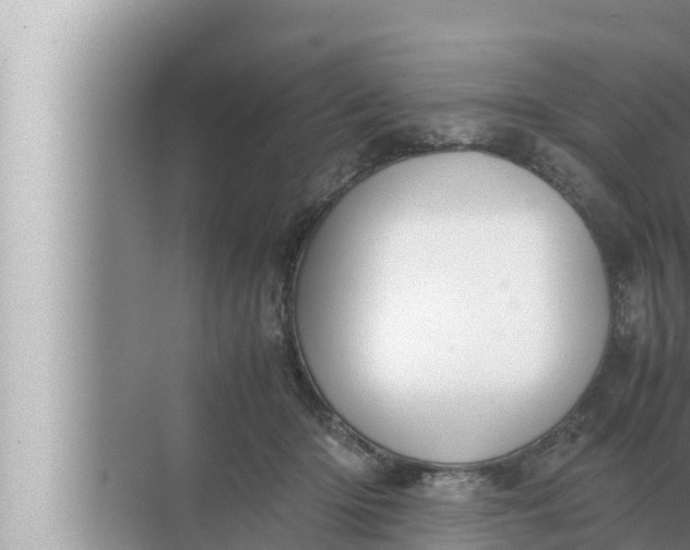 X0000072500414200607290111