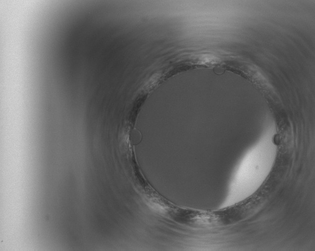 X0000072500415200607290111