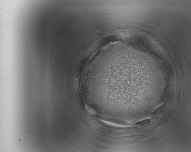 X0000072500417200607290111