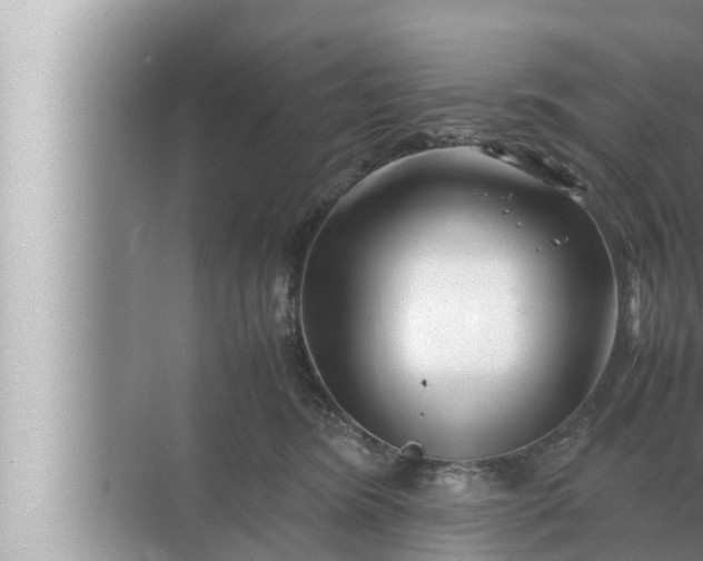 X0000072500420200607290111