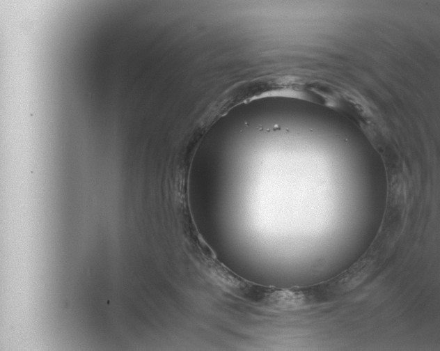 X0000072500421200607290110