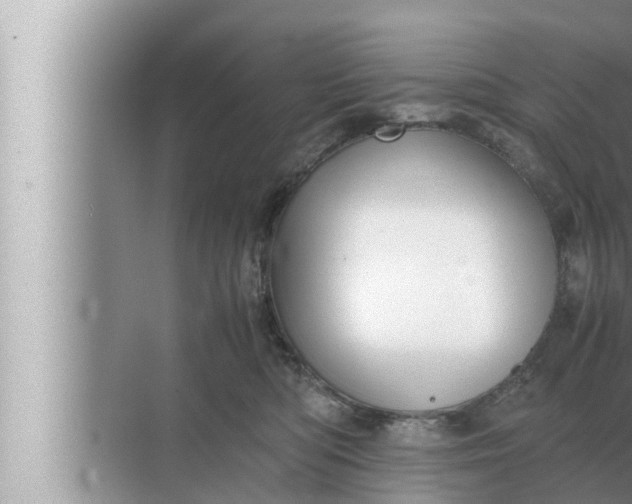 X0000072500422200607290110