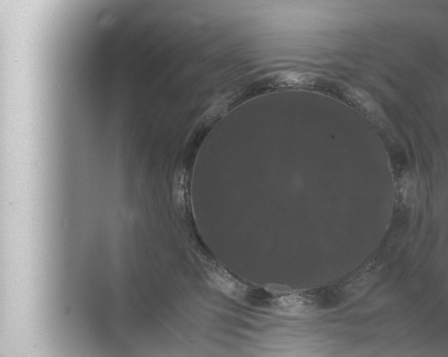 X0000072500423200607290110