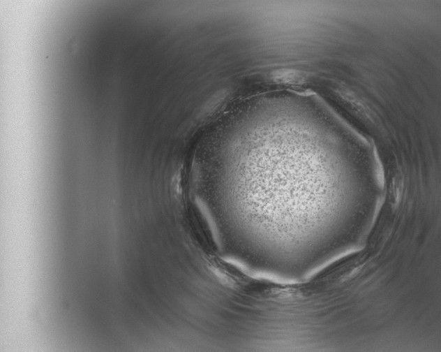 X0000072500424200607290110