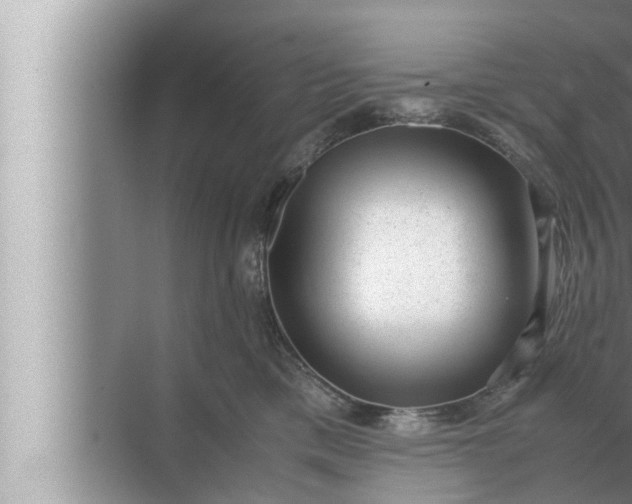 X0000072500425200607290110