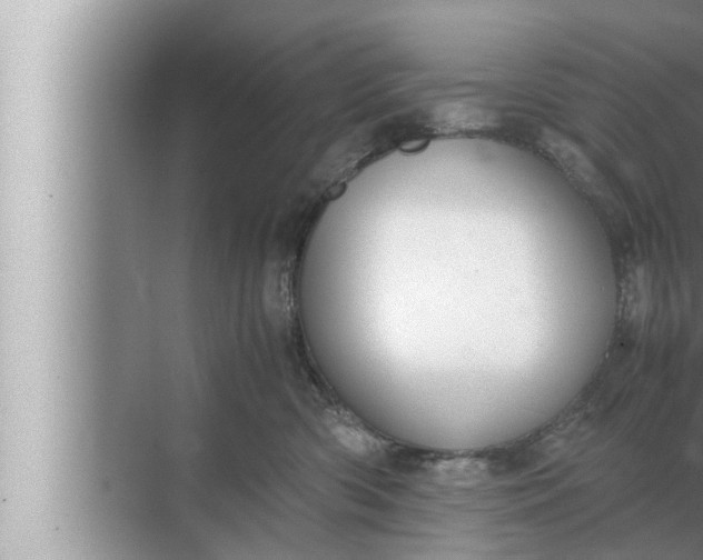 X0000072500426200607290110