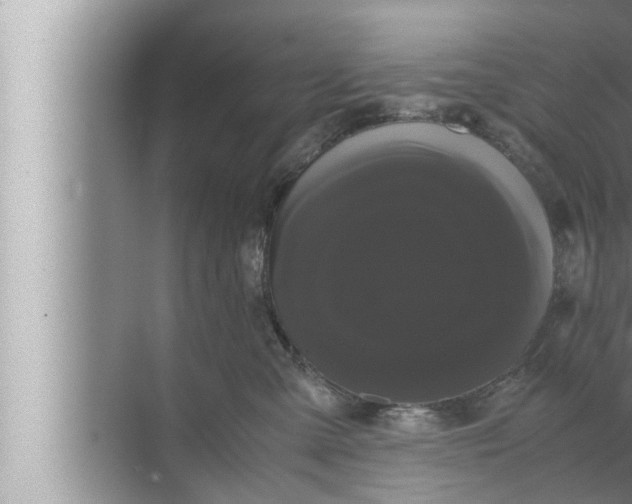 X0000072500427200607290110