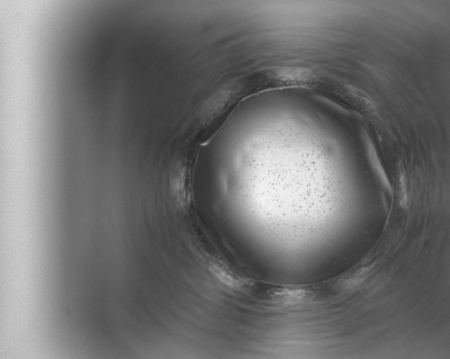 X0000072500428200607290110