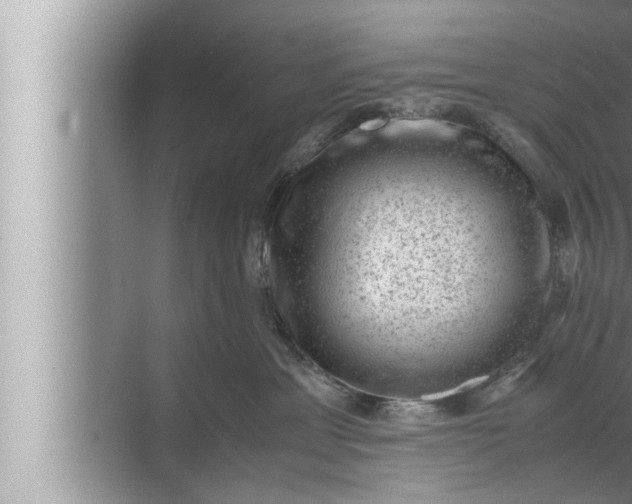 X0000072500429200607290110