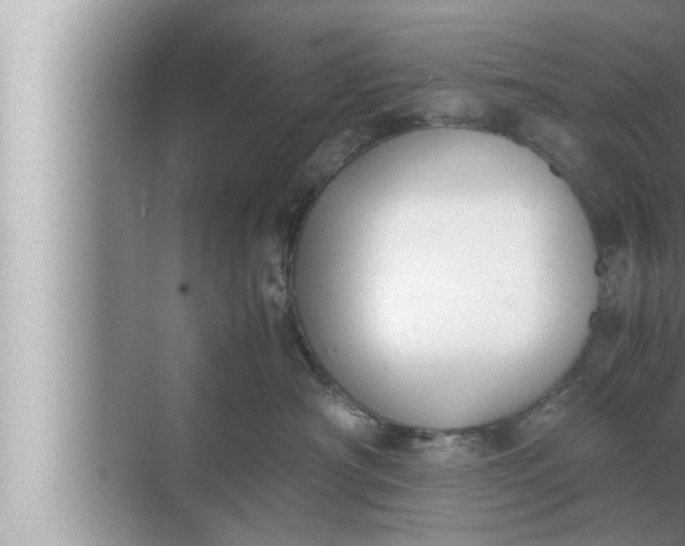 X0000072500430200607290110