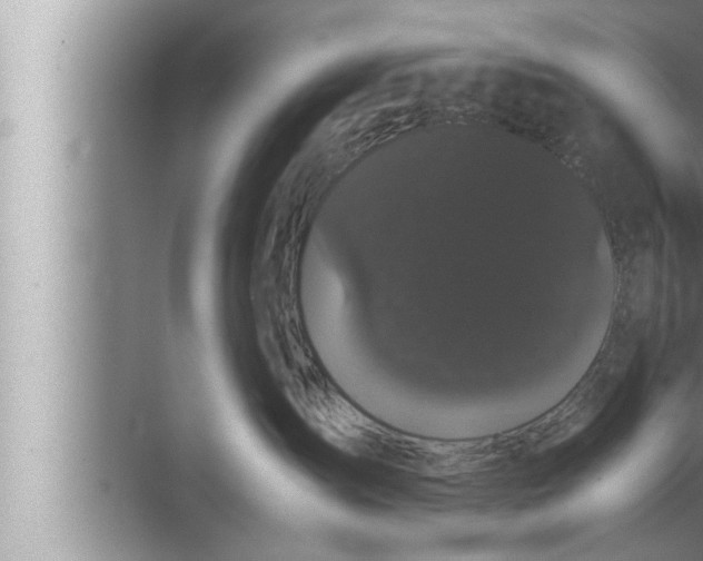 X0000072500431200607290110