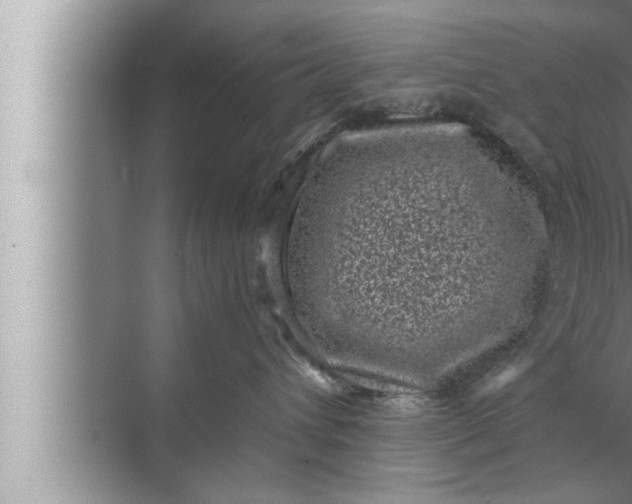 X0000072500432200607290110