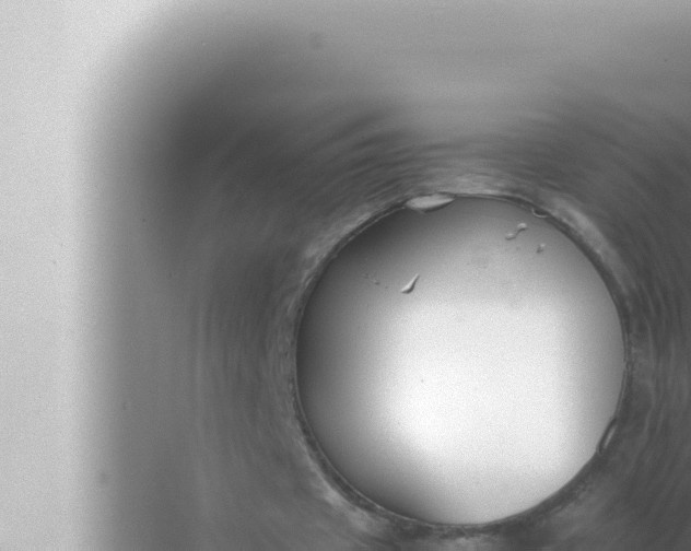 X0000072500433200607290110