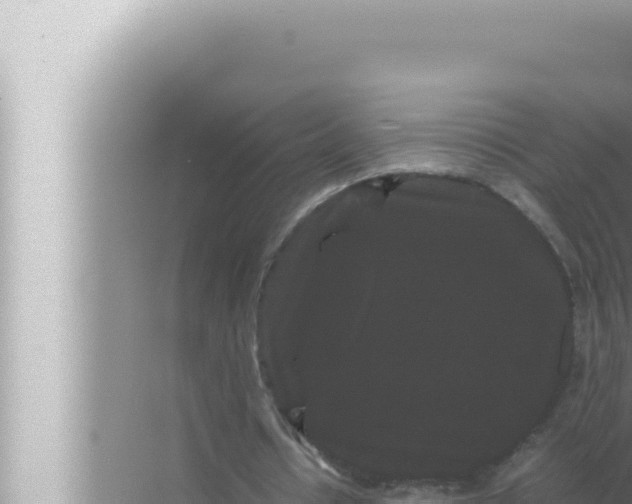 X0000072500434200607290110