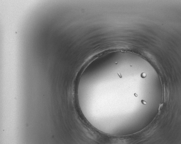 X0000072500435200607290110