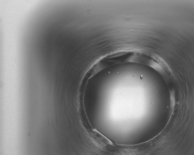 X0000072500436200607290110