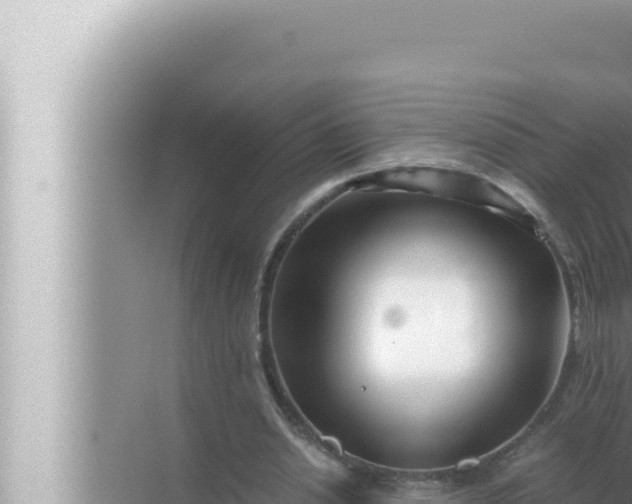 X0000072500438200607290110