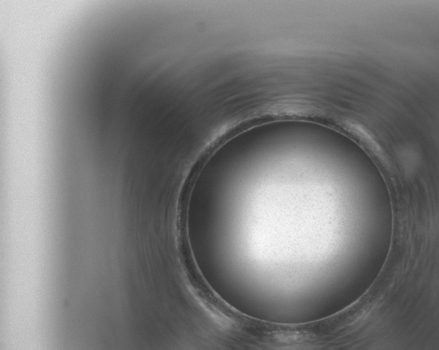 X0000072500439200607290110