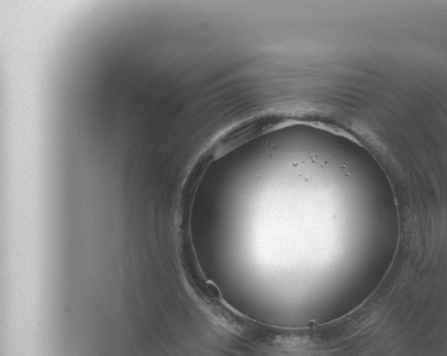 X0000072500440200607290110