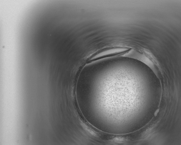 X0000072500441200607290110