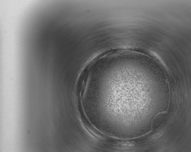 X0000072500443200607290110