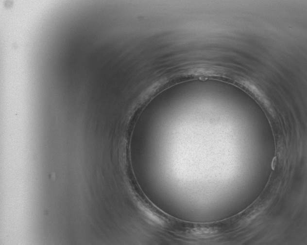 X0000072500445200607290110