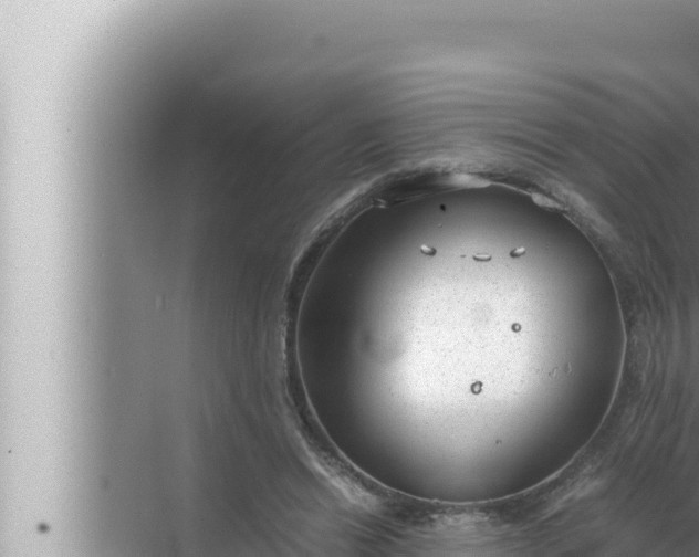 X0000072500446200607290110