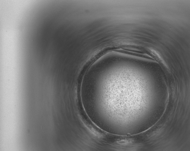 X0000072500447200607290110