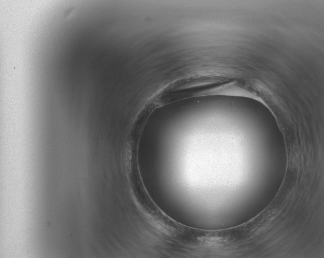 X0000072500448200607290110