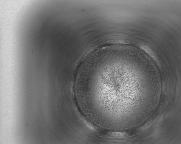 X0000072500449200607290110