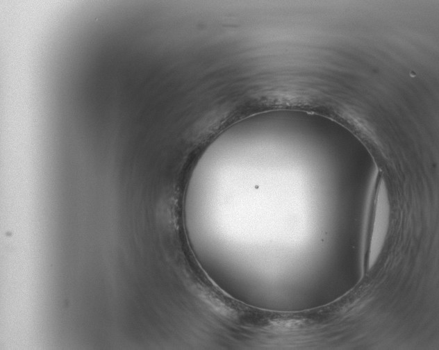 X0000072500450200607290110