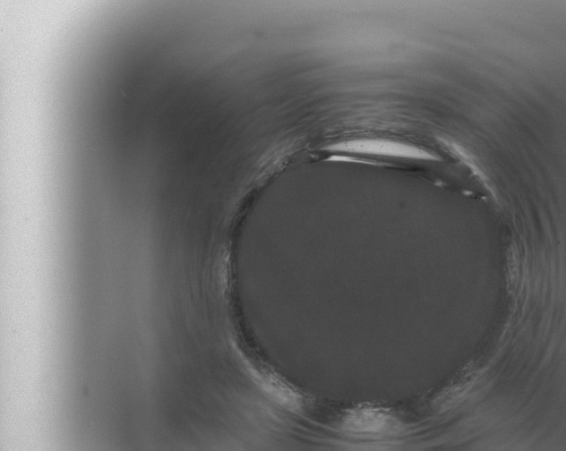 X0000072500451200607290110