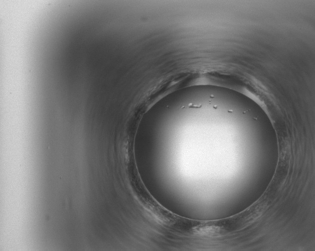 X0000072500452200607290110