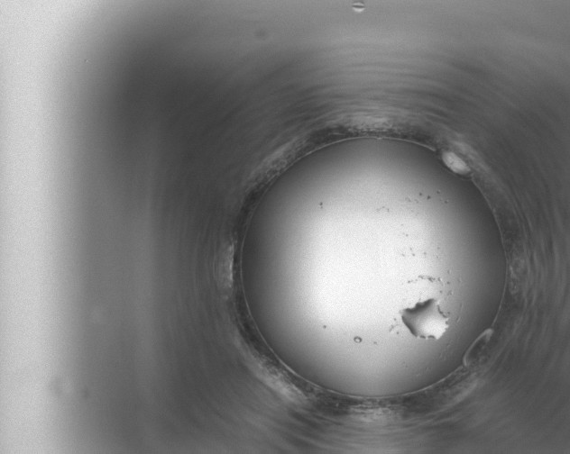 X0000072500454200607290110