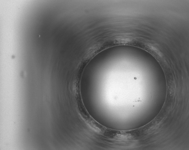 X0000072500455200607290110