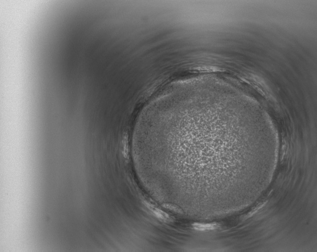 X0000072500457200607290110