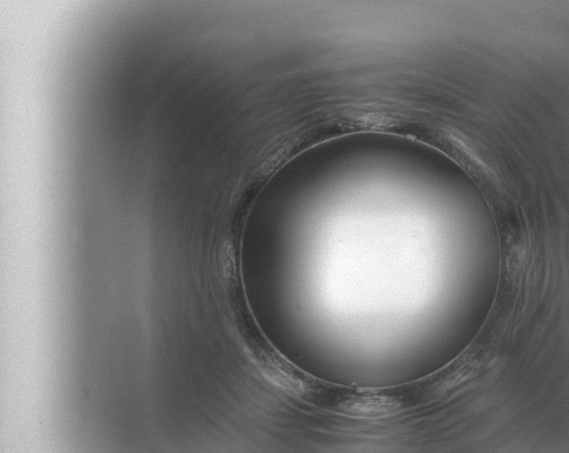 X0000072500459200607290110