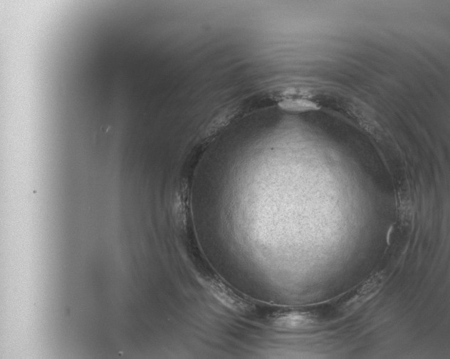 X0000072500460200607290110