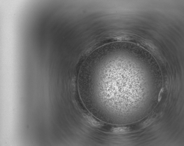 X0000072500461200607290110