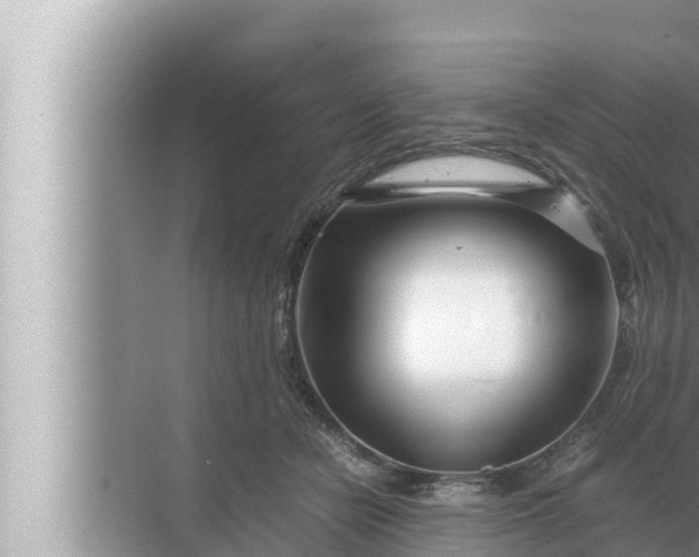 X0000072500462200607290110