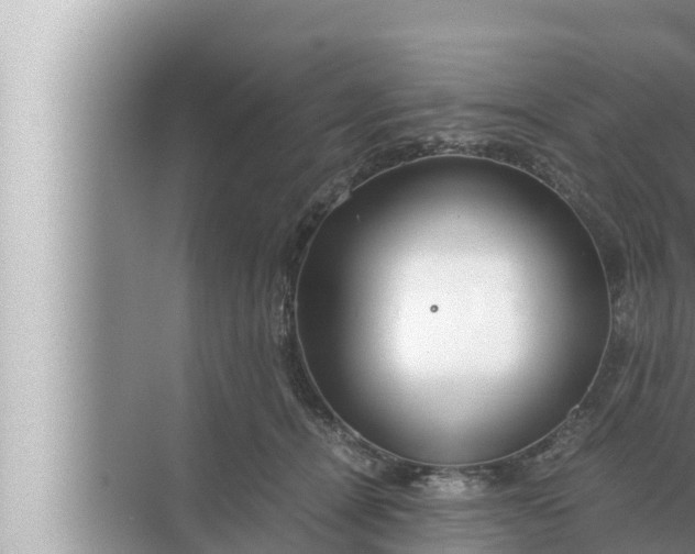 X0000072500464200607290110