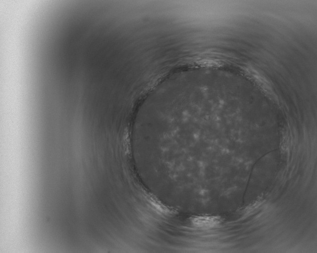 X0000072500465200607290110