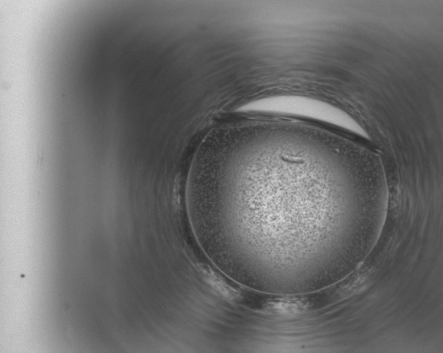 X0000072500466200607290110