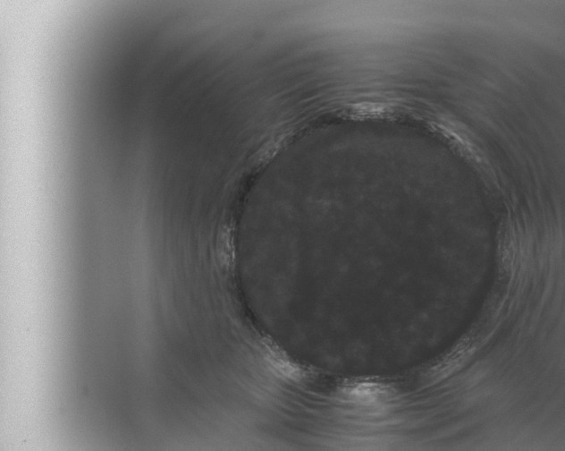 X0000072500467200607290110