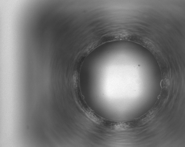 X0000072500468200607290110