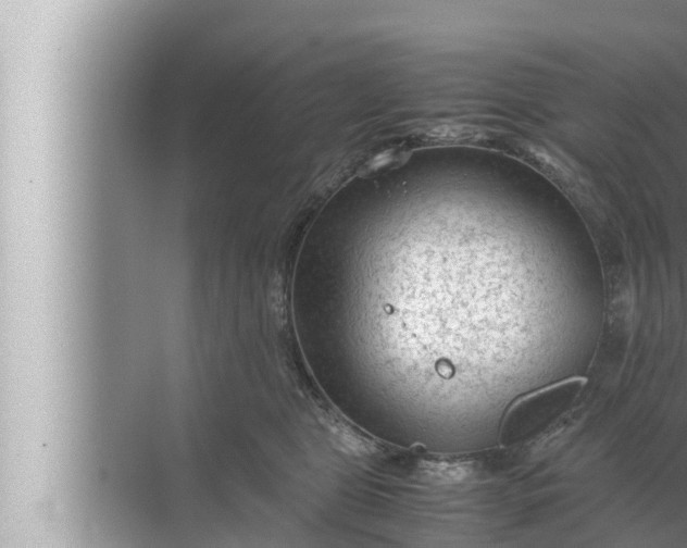 X0000072500469200607290110