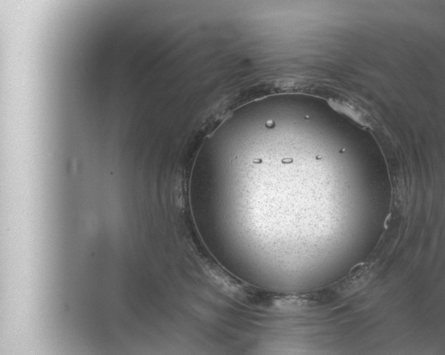 X0000072500470200607290110